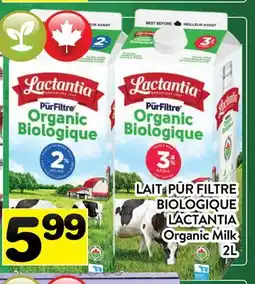 Supermarché PA LAIT PŪR FILTRE BIOLOGIQUE LACTANTIA | Organic Milk offer