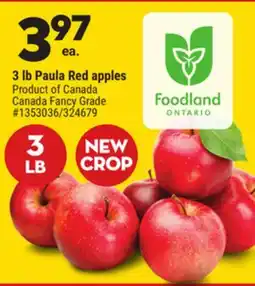 Giant Tiger 3 lb Paula Red apples offer
