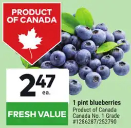 Giant Tiger 1 pint blueberries offer