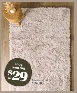 Giant Tiger shag area rug offer