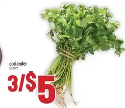 Marché Adonis Coriander offer