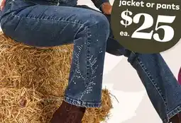 Giant Tiger Denim Studded flared jeans offer