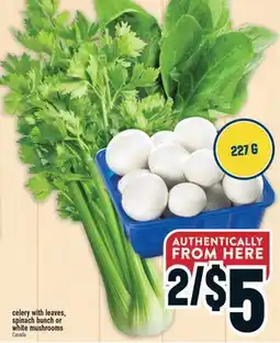 Marché Adonis celery with leaves, spinach bunch or white mushrooms offer