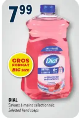 Familiprix DIAL, Selected hand soaps offer