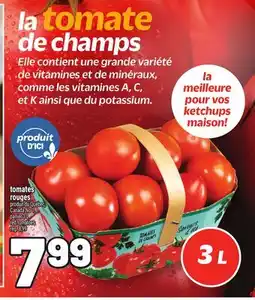 Metro TOMATES ROUGES | RED TOMATOES offer