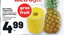 Metro GROS ANANAS TROPICAL GOLD OU ANANAS DÉCORTIQUÉ | TROPICAL GOLD LARGE PINEAPPLE OR CORED PINEAPPLE offer