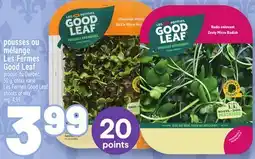Metro POUSSES OU MÉLANGE LES FERMES GOOD LEAF | LES FERMES GOOD LEAF SHOOTS OR MIX offer