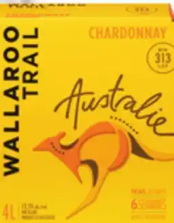 IGA WALLAROO TRAIL BEER offer