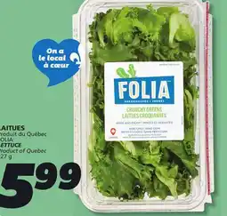 IGA FOLIA LETTUCE offer