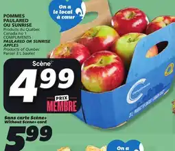 IGA COMPLIMENTS PAULARED OR SUNRISE APPLES offer