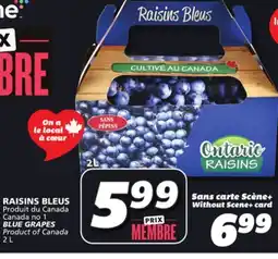 IGA BLUE GRAPES offer