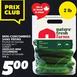 IGA SUNSET SEEDLESS MINI CUCUMBERS offer