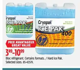 Canadian Tire cryopak Hard Ice Pak. Selected sizes offer