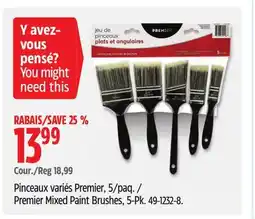 Canadian Tire Premier Mixed Paint Brushes offer