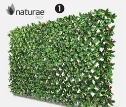 Canadian Tire Naturae PVC Expandable Trellis, 40 x 80˝ offer