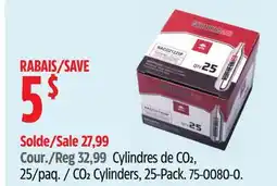 Canadian Tire Crosman CO2 Cylinders offer