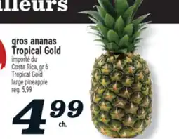 Marché Richelieu GROS ANANAS TROPICAL GOLD | TROPICAL GOLD LARGE PINEAPPLE offer