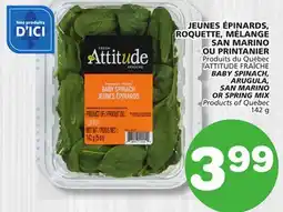 Marches Tradition ATTITUDE FRAÎCHE BABY SPINACH, ARUGULA, SAN MARINO OR SPRING MIX offer