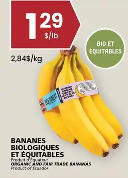 Rachelle-Bery Grocery ORGANIC AND FAIR TRADE BANANAS offer