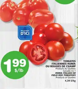 Marches Tradition ROMA ITALIAN OR FIELD RED TOMATOES offer