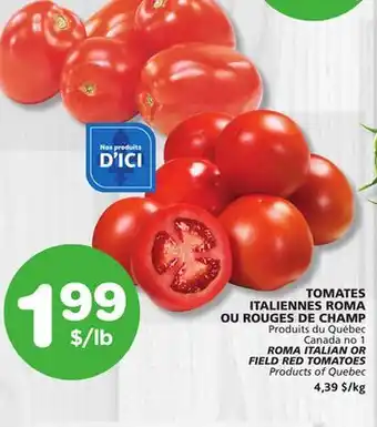 Marches Tradition ROMA ITALIAN OR FIELD RED TOMATOES offer