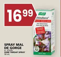 Rachelle-Bery Grocery A. VOGEL SORE THROAT SPRAY offer