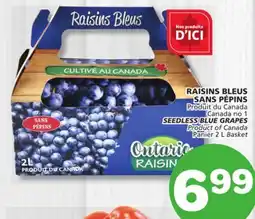 Marches Tradition SEEDLESS BLUE GRAPES offer