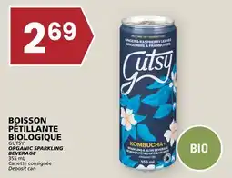 Rachelle-Bery Grocery GUTSY ORGANIC SPARKLING BEVERAGE offer