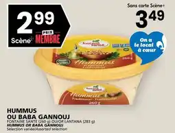 Rachelle-Bery Grocery FONTAINE SANTÉ (260 g) OU/OR LANTANA (283 g) HUMMUS OR BABA GANNOUJ offer