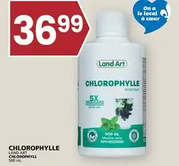 Rachelle-Bery Grocery LAND ART CHLOROPHYLL offer