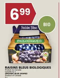 Rachelle-Bery Grocery ORGANIC BLUE GRAPES offer