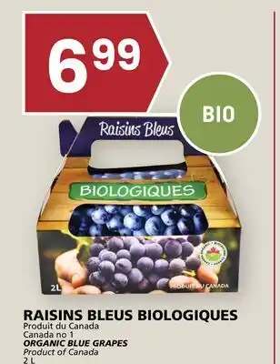 Rachelle-Bery Grocery ORGANIC BLUE GRAPES offer
