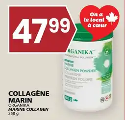 Rachelle-Bery Grocery ORGANIKA MARINE COLLAGEN offer