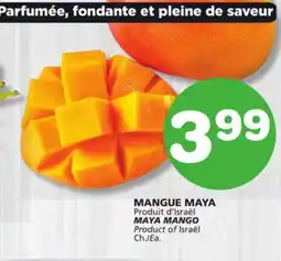Marches Tradition MAYA MANGO offer