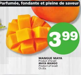 Marches Tradition MAYA MANGO offer