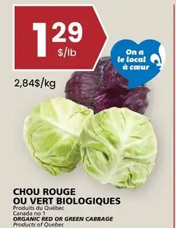 Rachelle-Bery Grocery ORGANIC RED OR GREEN CABBAGE offer