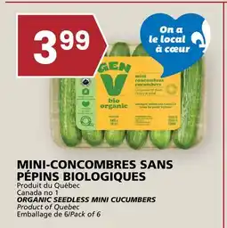 Rachelle-Bery Grocery ORGANIC SEEDLESS MINI CUCUMBERS offer