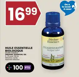 Rachelle-Bery Grocery DIVINE ESSENCE ORGANIC ESSENTIAL OIL offer