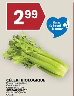 Rachelle-Bery Grocery ORGANIC CELERY offer