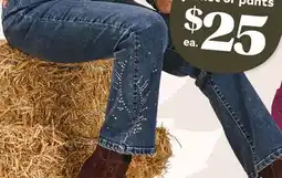 Giant Tiger studded flared jeans offer