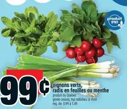 Super C oignons verts, radis en feuilles ou menthe | green onions, top radishes or mint offer