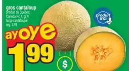 Super C gros cantaloup | large cantaloupe offer