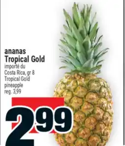 Super C ananas Tropical Gold | Tropical Gold pineapple offer