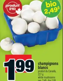 Super C champignons blancs | white mushrooms offer