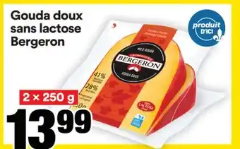 Super C GOUDA DOUX SANS LACTOSE BERGERON offer