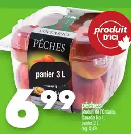 Marche Ami PÊCHES offer