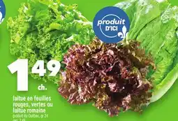 Marche Ami LAITUE EN FEUILLES ROUGES, VERTES OU LAITUE ROMAINE offer