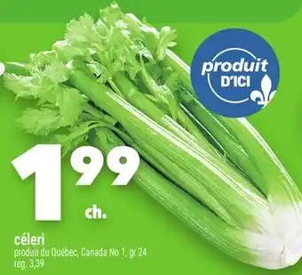 Marche Ami CÉLERI offer