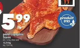 Marche Ami POULET CRAPAUDINE SCORES offer