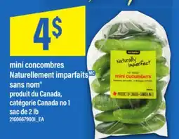 Maxi MINI CONCOMBRES NATURELLEMENT IMPARFAITS SANS NOM SAC DE 2 LB offer